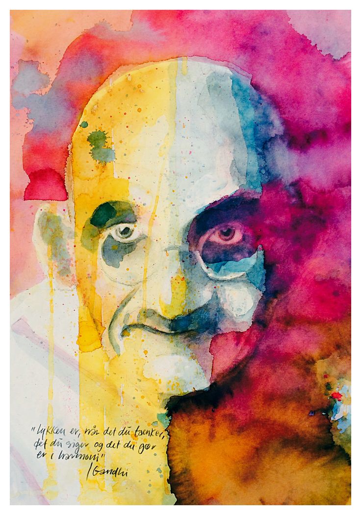 Delia Smith collection